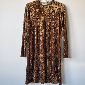 Vintage Velvet Dress